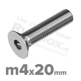 ISO 10642 RVS A2 M4x20mm | Rvsinox.nl