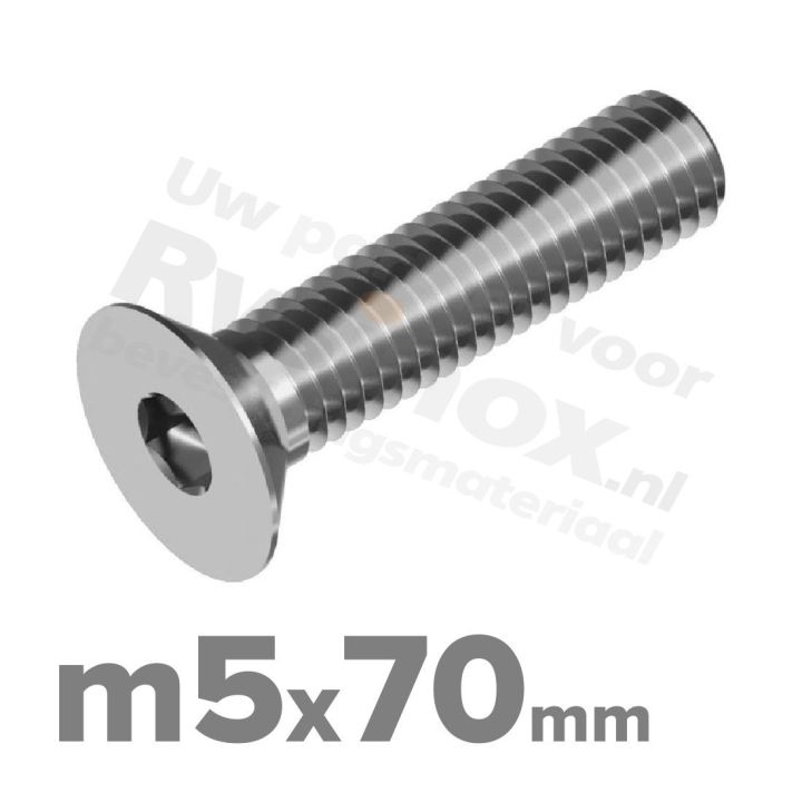 ISO 10642 RVS A2 M5x70mm | Rvsinox.nl