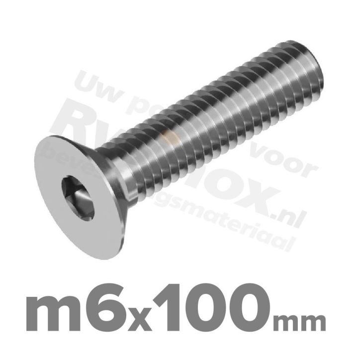 ISO 10642 RVS A2 M6x100mm | Rvsinox.nl