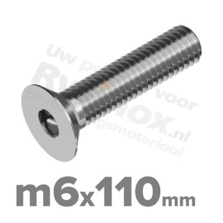 ISO 10642 RVS A2 M6x110mm | Rvsinox.nl