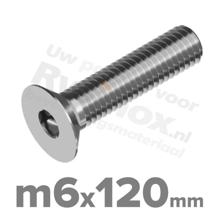 ISO 10642 RVS A2 M6x120mm | Rvsinox.nl