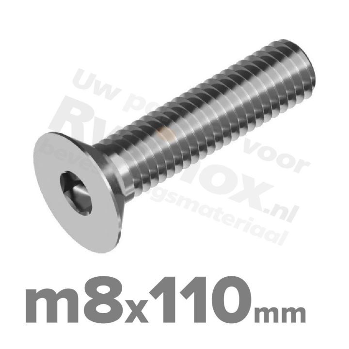 ISO 10642 RVS A2 M8x110mm