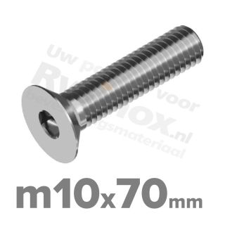 ISO 10642 RVS A2 M10x70mm