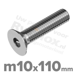 ISO 10642 RVS A2 M10x110mm