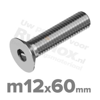 ISO 10642 RVS A2 M12x60mm