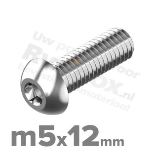 ISO 7380-1 RVS A2 M5x12mm
