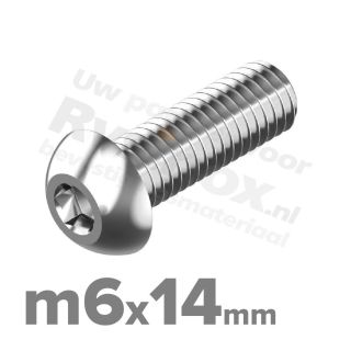 ISO 7380-1 RVS A2 M6x14mm
