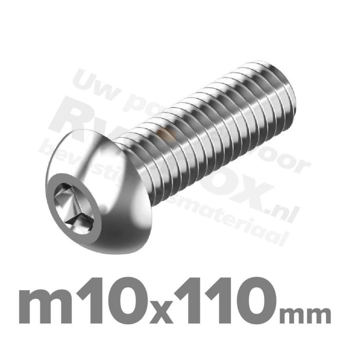 ISO 7380-1 RVS A2 M10x110mm