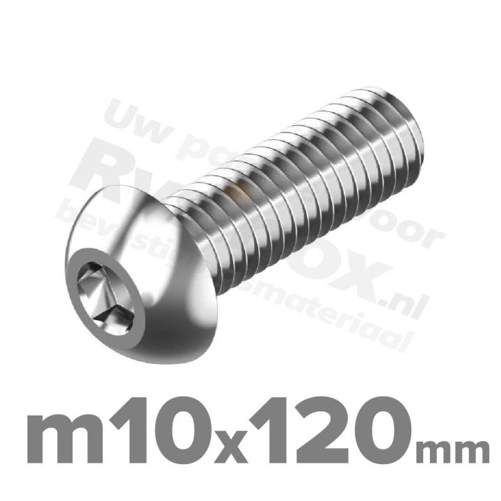 ISO 7380-1 RVS A2 M10x120mm