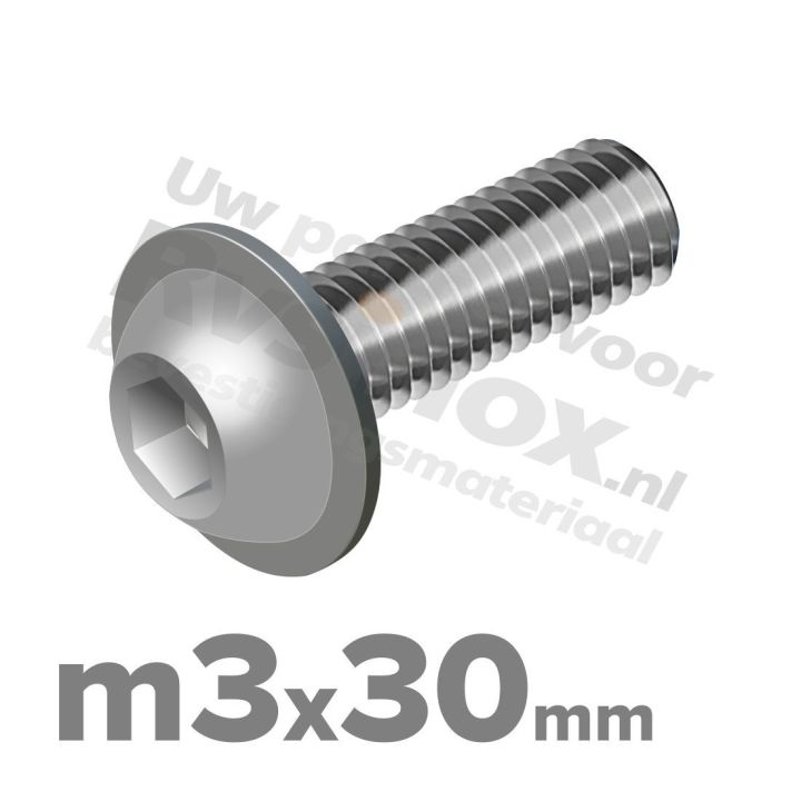 ISO 7380-2 RVS A2 M3x30mm