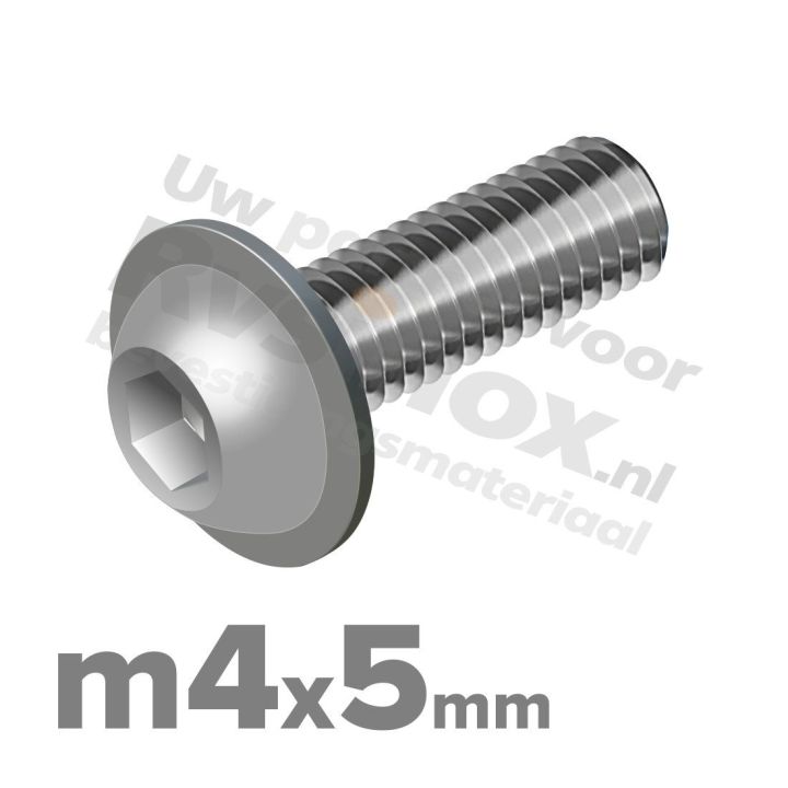 ISO 7380-2 RVS A2 M4x5mm