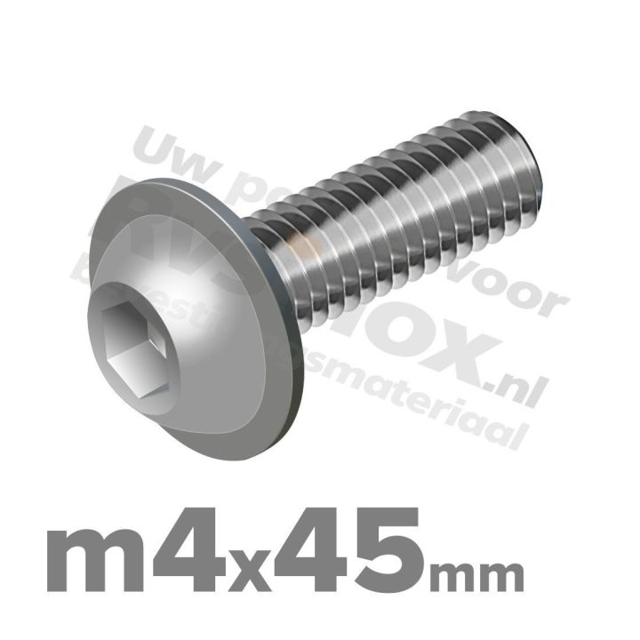 ISO 7380-2 RVS A2 M4x45mm