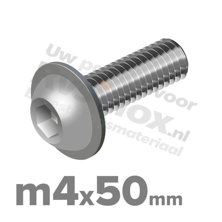ISO 7380-2 RVS A2 M4x50mm
