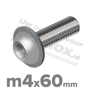ISO 7380-2 RVS A2 M4x60mm