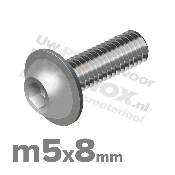 ISO 7380-2 RVS A2 M5x8mm