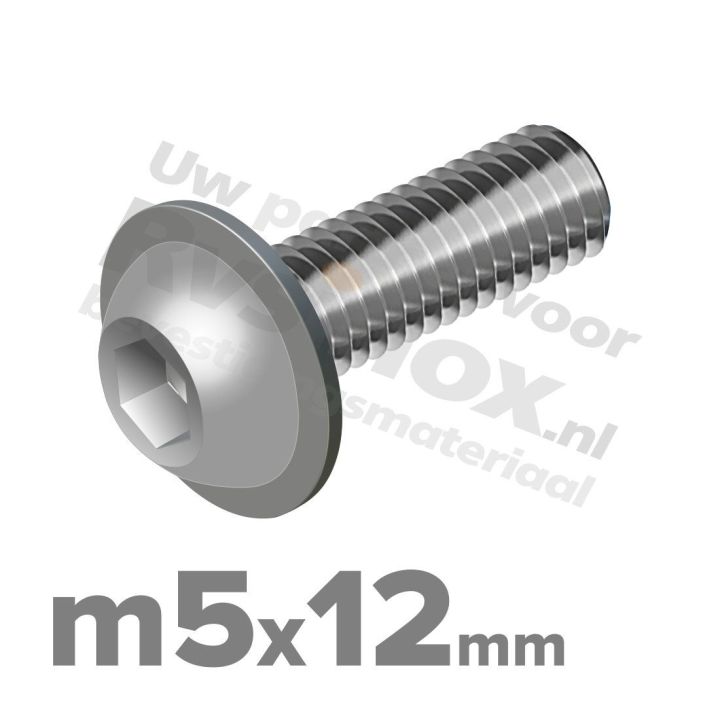 ISO 7380-2 RVS A2 M5x12mm