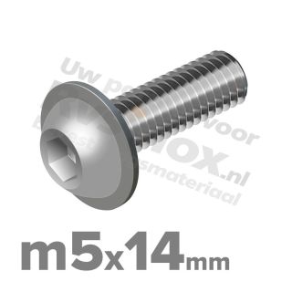 ISO 7380-2 RVS A2 M5x14mm