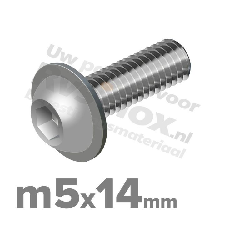 ISO 7380-2 RVS A2 M5x14mm
