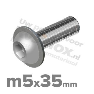 ISO 7380-2 RVS A2 M5x35mm