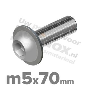 ISO 7380-2 RVS A2 M5x70mm
