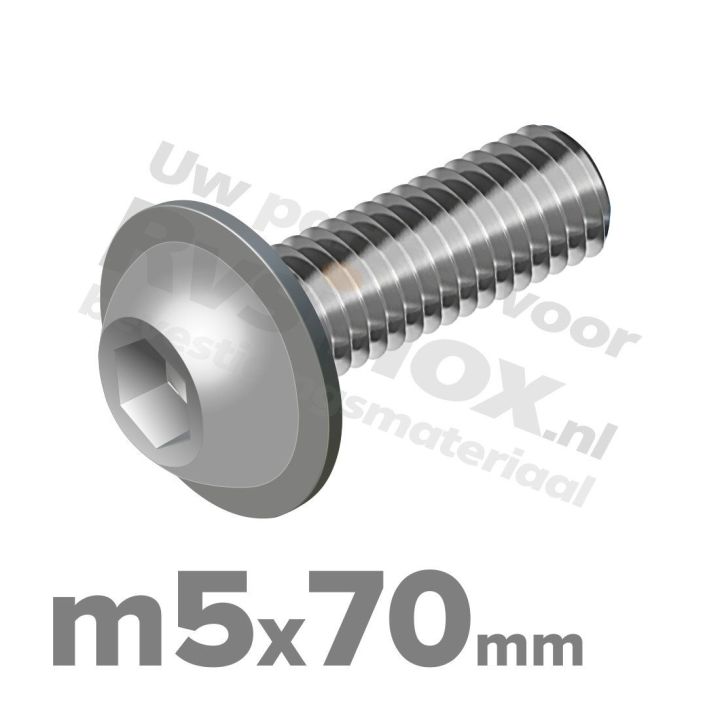 ISO 7380-2 RVS A2 M5x70mm