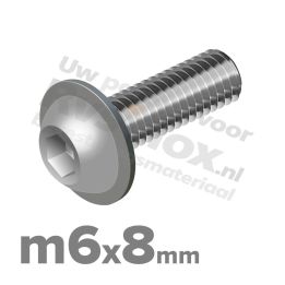 ISO 7380-2 RVS A2 M6x8mm
