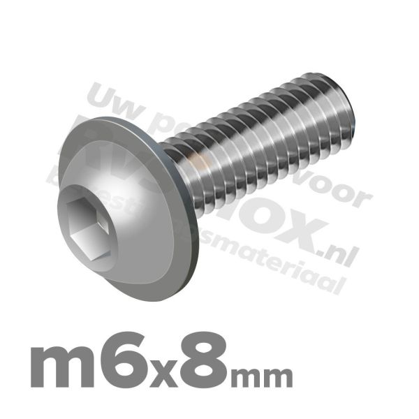 ISO 7380-2 RVS A2 M6x8mm