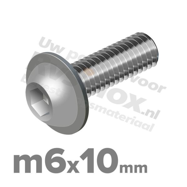 ISO 7380-2 RVS A2 M6x10mm