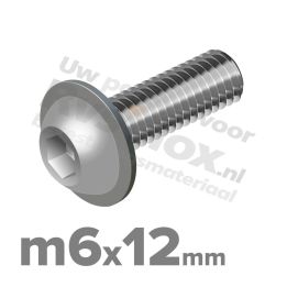 ISO 7380-2 RVS A2 M6x12mm