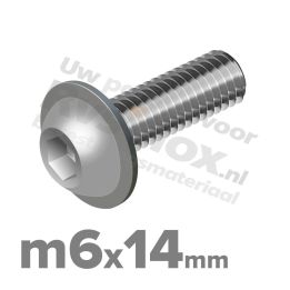 ISO 7380-2 RVS A2 M6x14mm