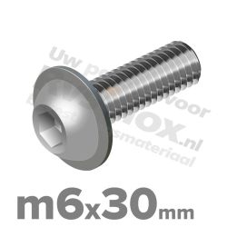 ISO 7380-2 RVS A2 M6x30mm