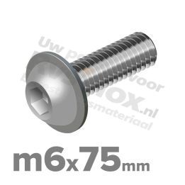 ISO 7380-2 RVS A2 M6x75mm