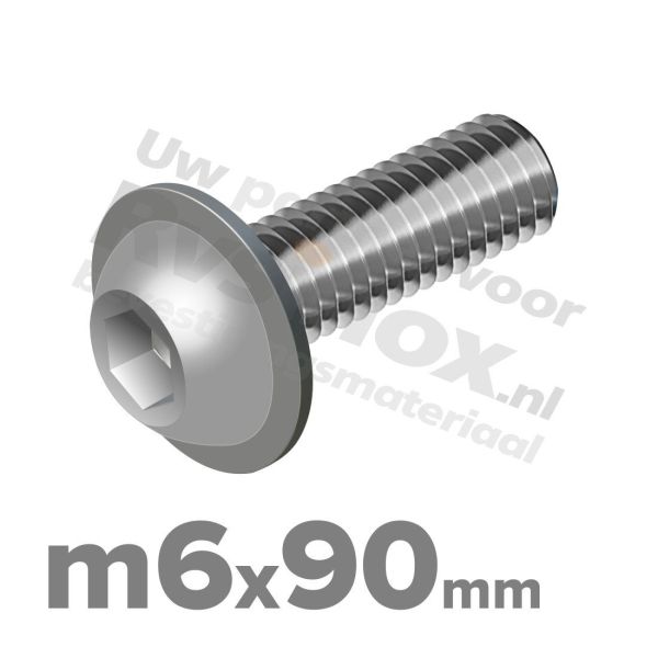 ISO 7380-2 RVS A2 M6x90mm