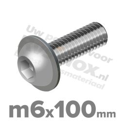 ISO 7380-2 RVS A2 M6x100mm