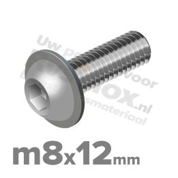 ISO 7380-2 RVS A2 M8x12mm