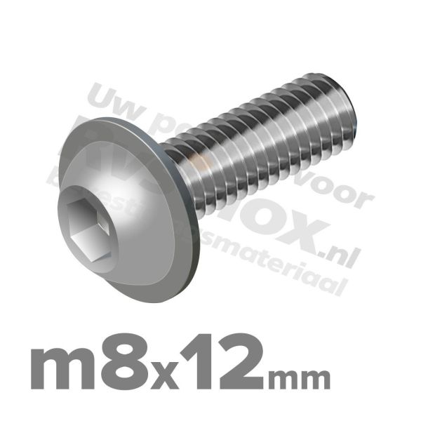 ISO 7380-2 RVS A2 M8x12mm