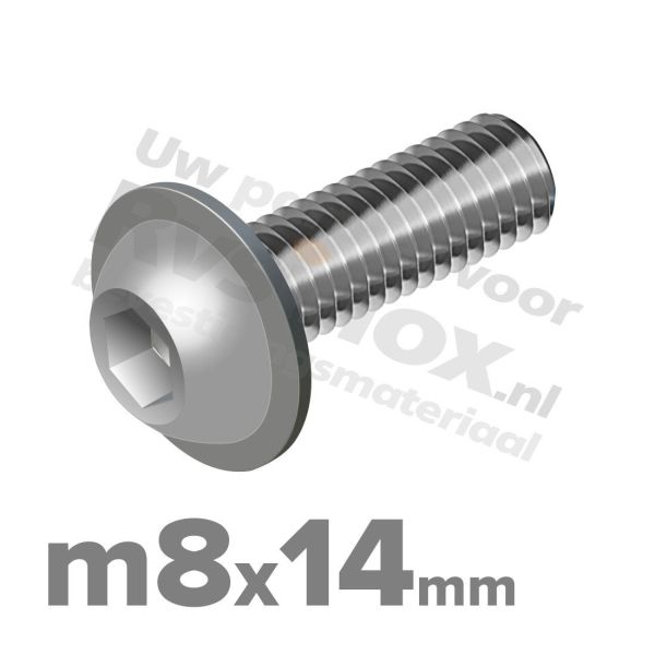 ISO 7380-2 RVS A2 M8x14mm