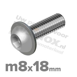 ISO 7380-2 RVS A2 M8x18mm