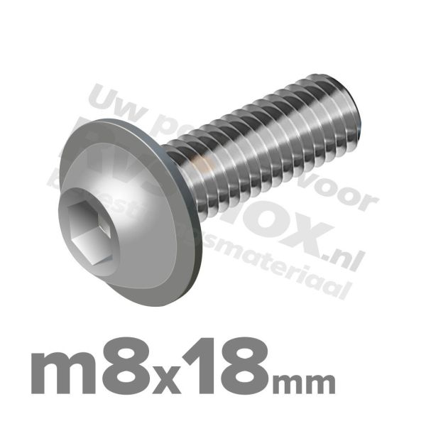 ISO 7380-2 RVS A2 M8x18mm