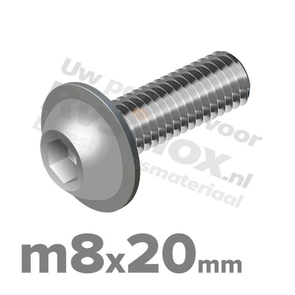 ISO 7380-2 RVS A2 M8x20mm