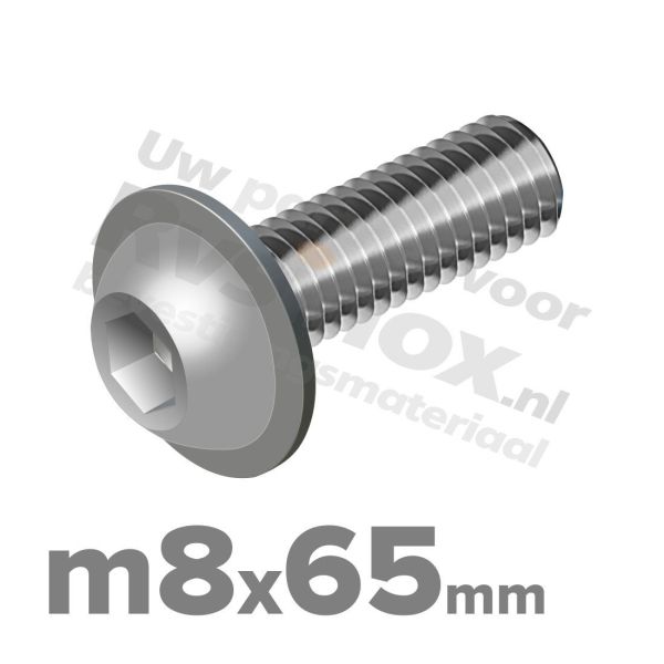 ISO 7380-2 RVS A2 M8x65mm
