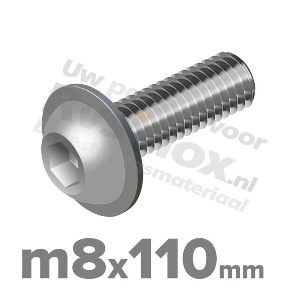 ISO 7380-2 RVS A2 M8x110mm