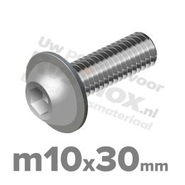 ISO 7380-2 RVS A2 M10x30mm