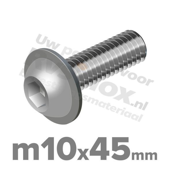 ISO 7380-2 RVS A2 M10x45mm