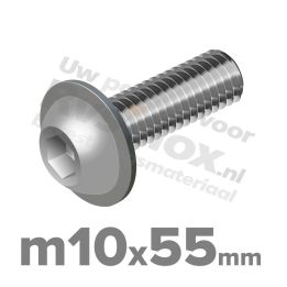 ISO 7380-2 RVS A2 M10x55mm