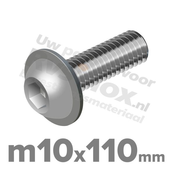 ISO 7380-2 RVS A2 M10x110mm