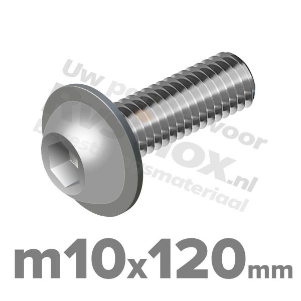 ISO 7380-2 RVS A2 M10x120mm