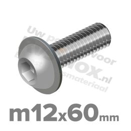 ISO 7380-2 RVS A2 M12x60mm