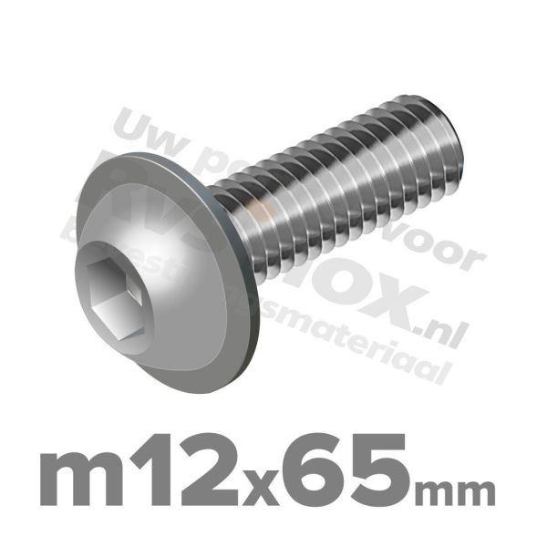 ISO 7380-2 RVS A2 M12x65mm