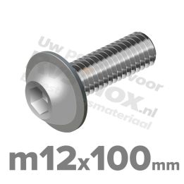 ISO 7380-2 RVS A2 M12x100mm